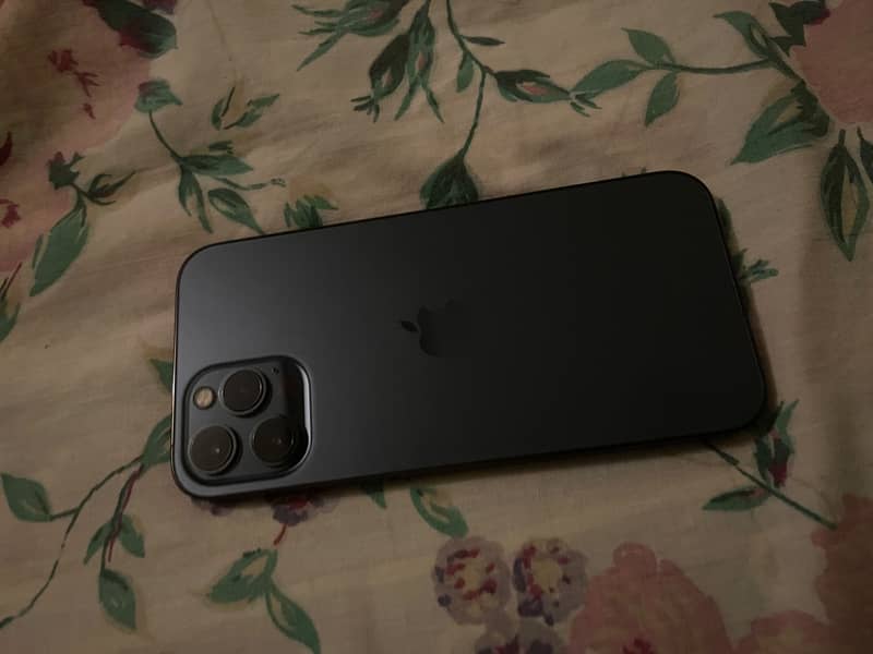 Apple iPhone 12 Pro Max 2