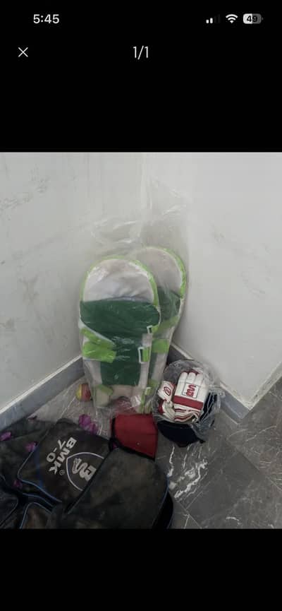Cricket Bag helmet pads
