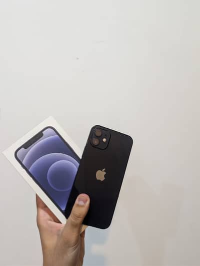 Apple iPhone 12