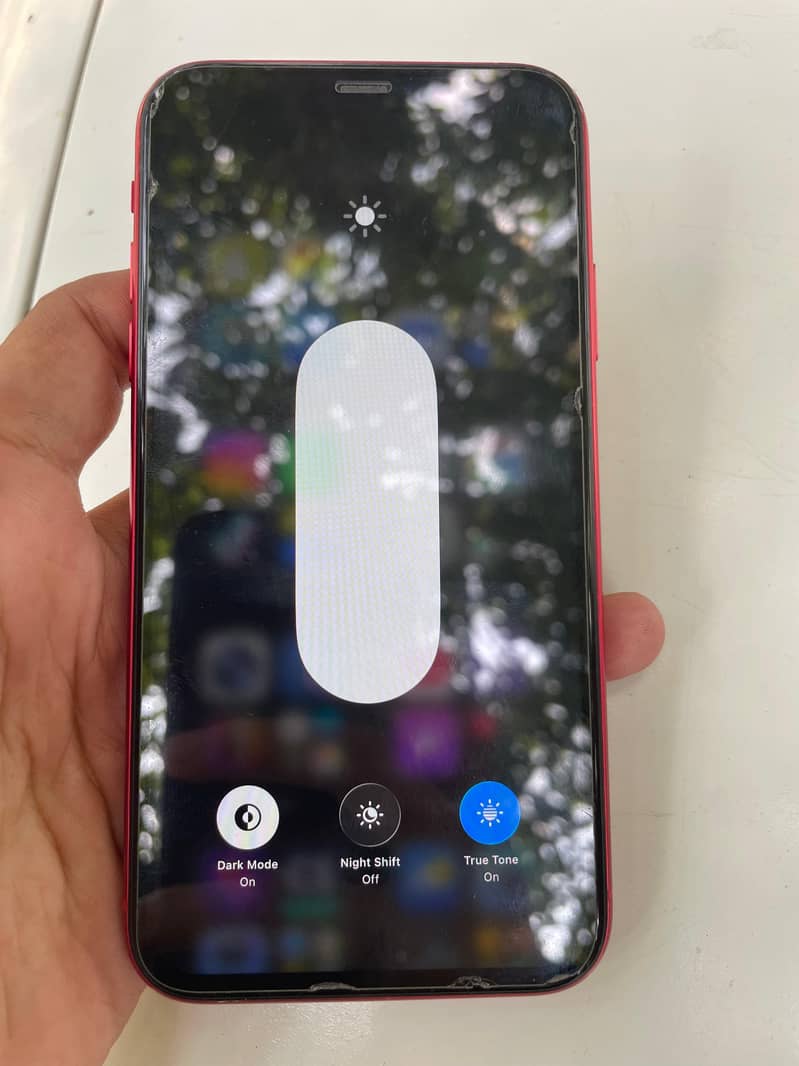 Apple iPhone 11 3
