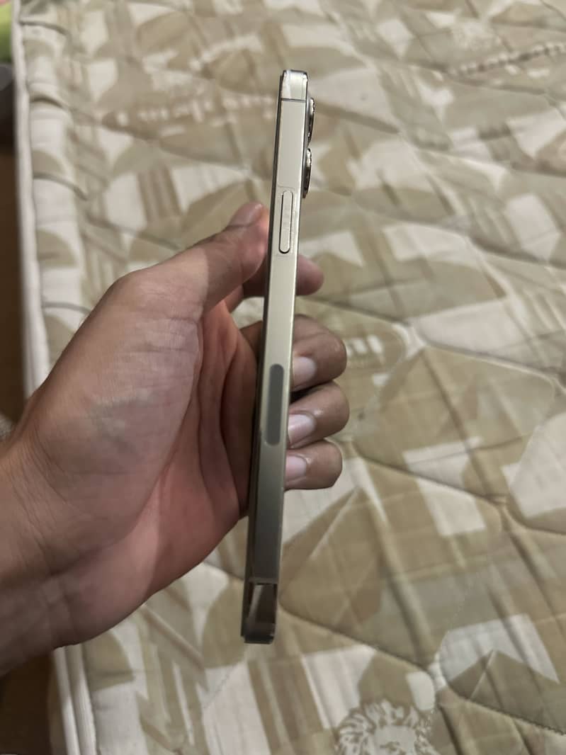 Apple iPhone 12 Pro Max 2