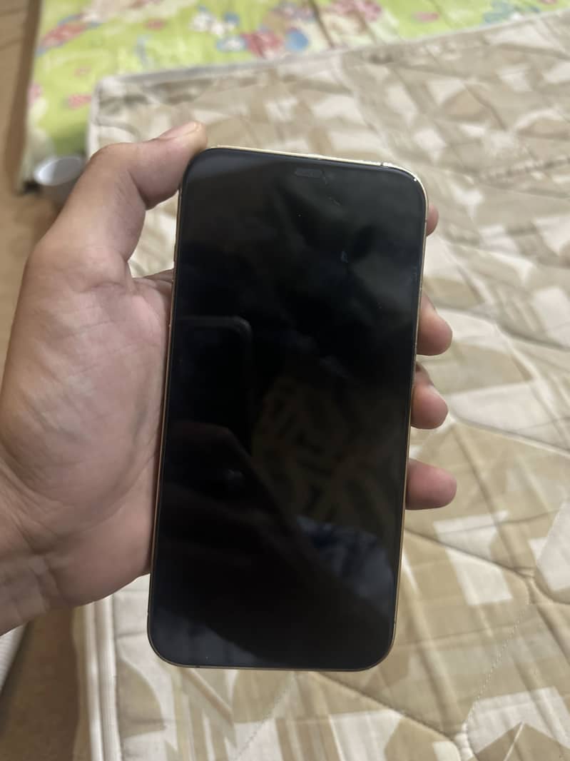 Apple iPhone 12 Pro Max 5