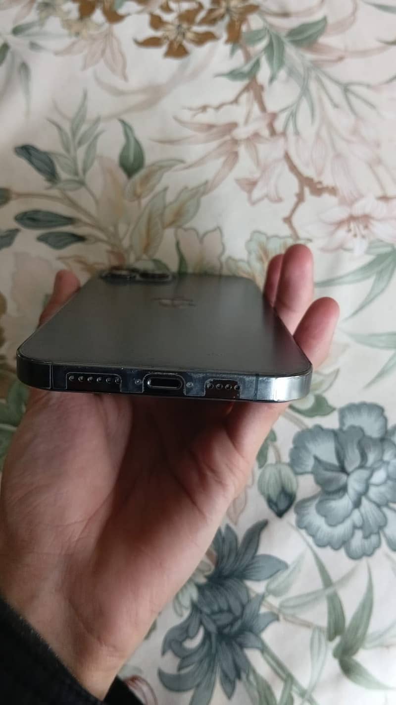 Apple iPhone 12 Pro Max 1