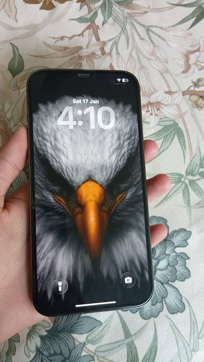 Apple iPhone 12 Pro Max 3