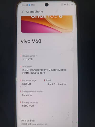 Vivo V60