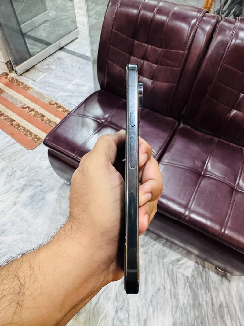 Google Pixel 9 Pro XL 1
