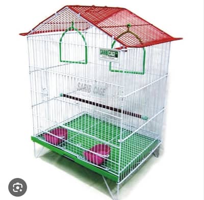 Birds Steel Cage