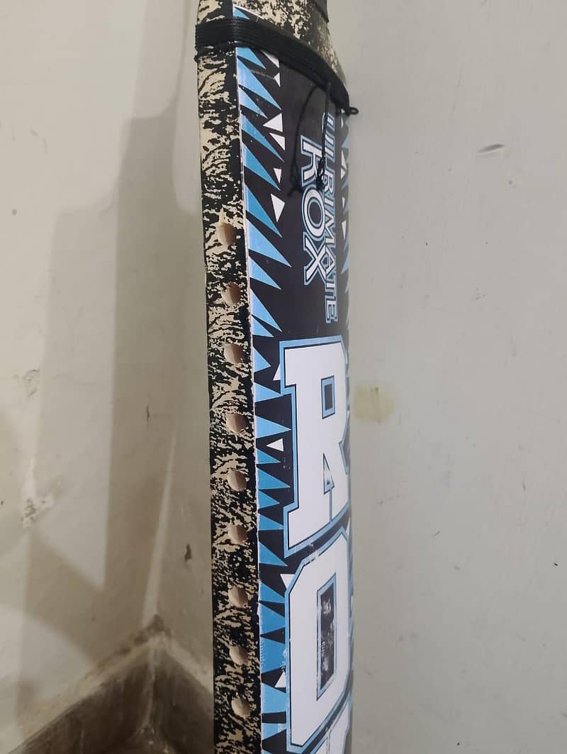 cricket bat 2