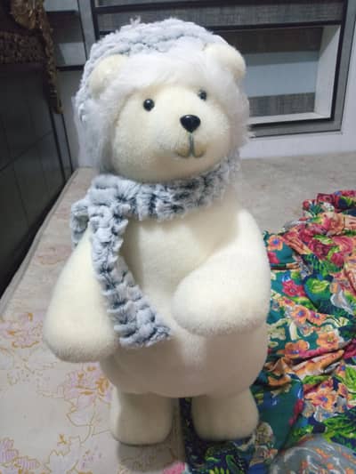 Snow Bear