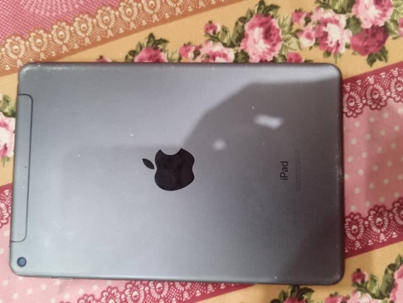 Ipal Ipad Mini 5 Generation 6