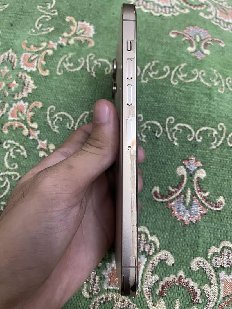 Apple iPhone 13 Pro Max 0