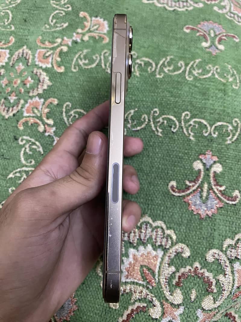 Apple iPhone 13 Pro Max 1