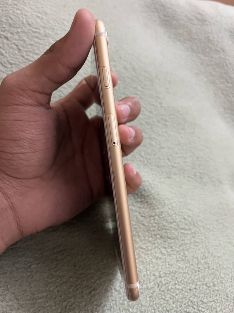 Apple iPhone 7 Plus 1