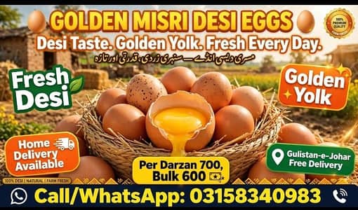 assalamualaikum all setup for 03158340983 cocktail hai buddige  finch