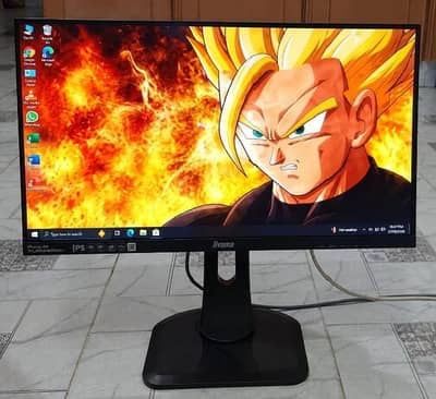 IIyama 24inch IPS 75hertz Bazzelless HDMI/Speakers Gaming LED Monitor