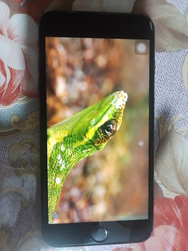 Apple iPhone 7 Plus 3
