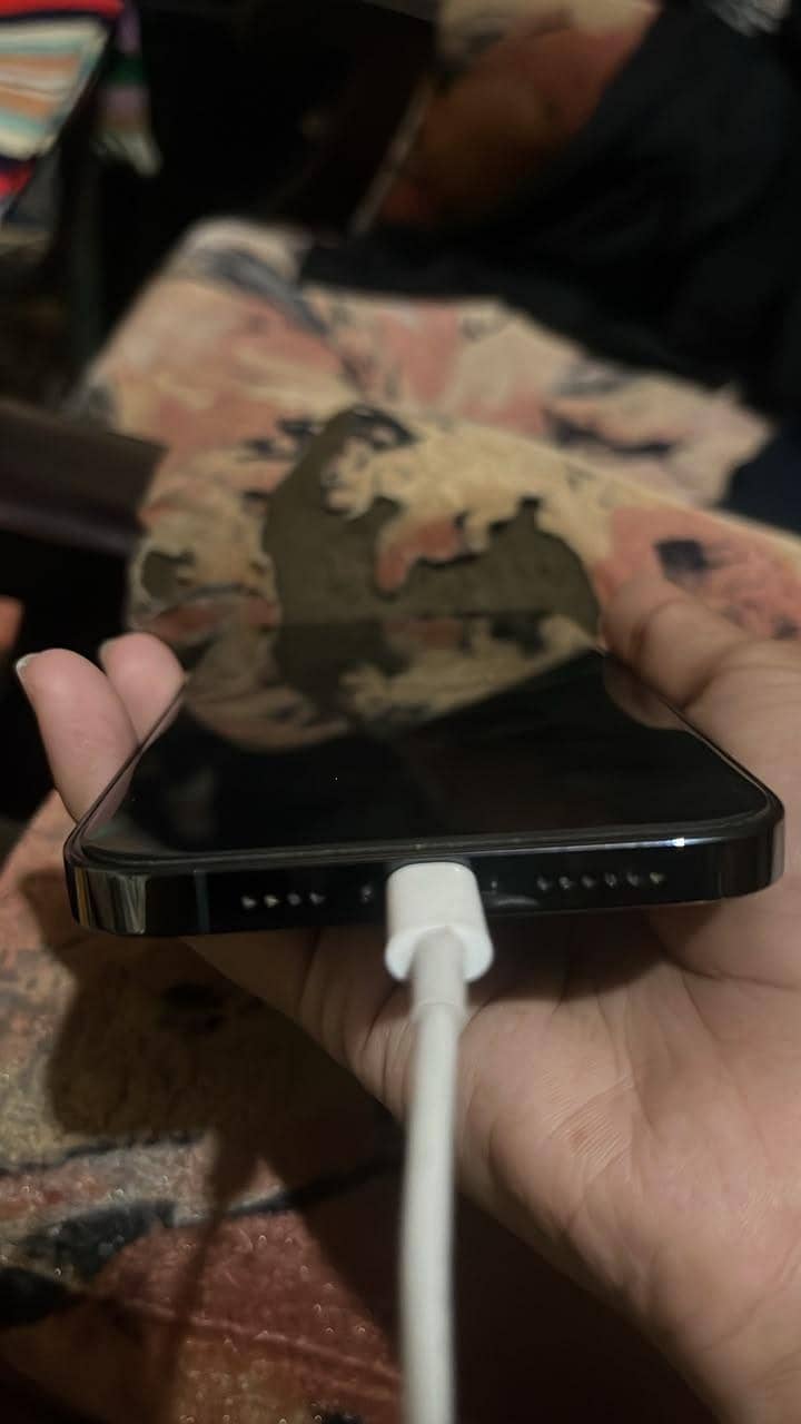 Apple iPhone 12 Pro Max 1