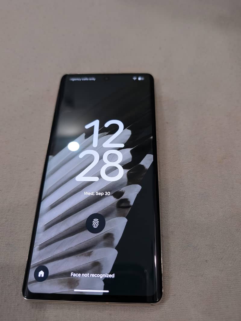 Google Pixel 7 Pro 1