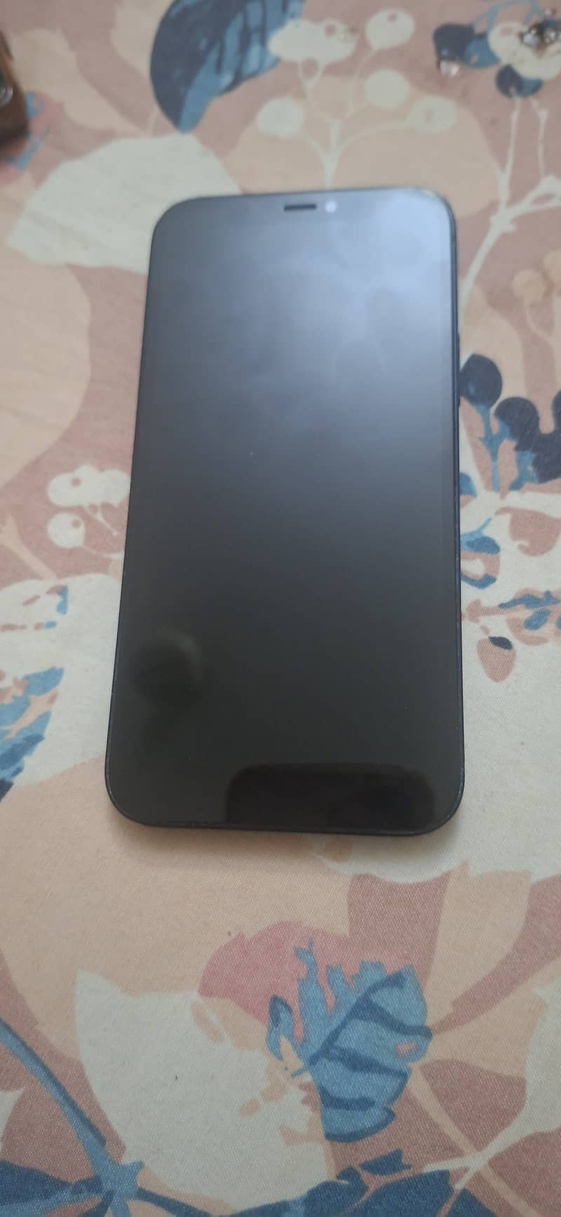 Apple iPhone 12 9