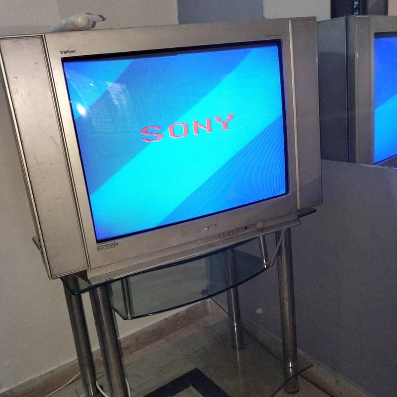 Television 1
