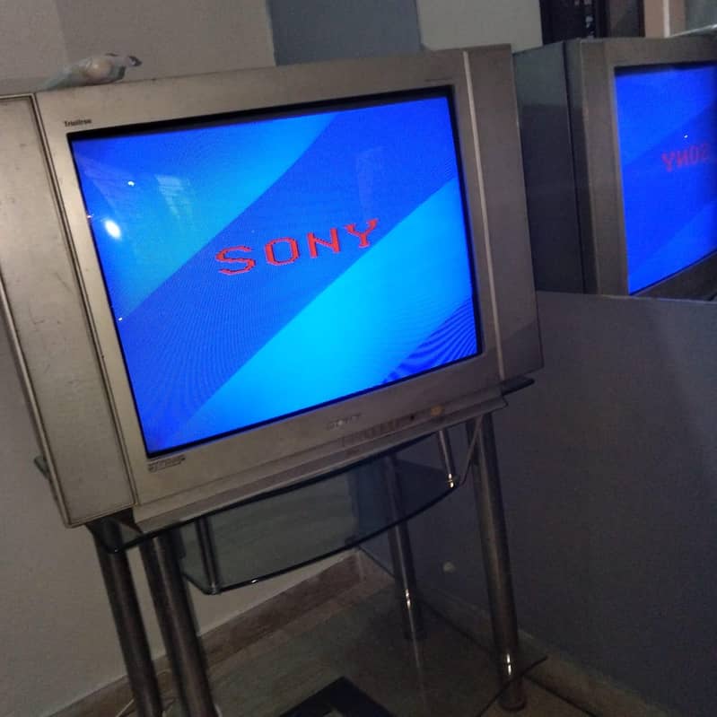 Television 3