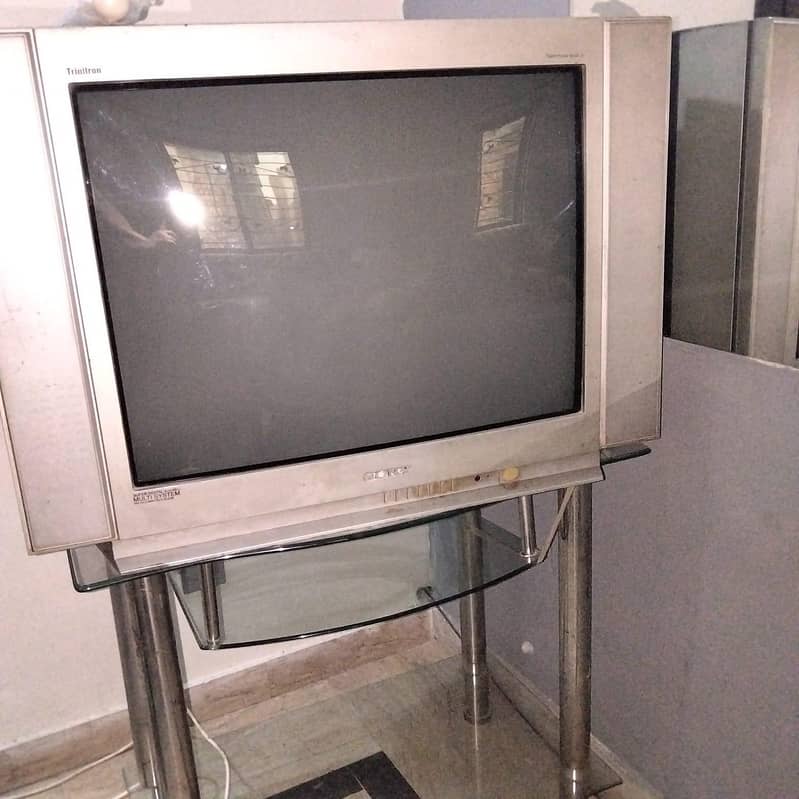 Television 6