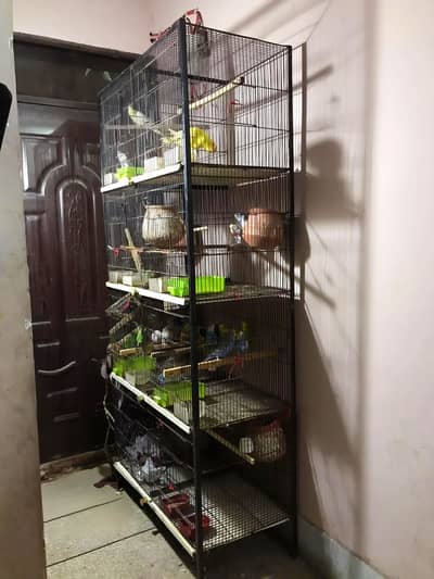 8 portion cage only Cage