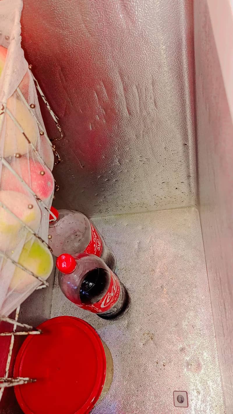 freezer 1