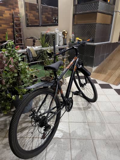 26 inches imported cycle