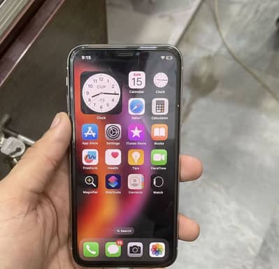 Apple iPhone X