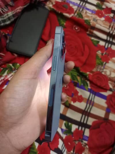 phone