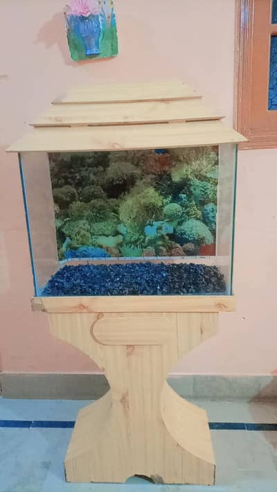 fish aquarium wooden texture