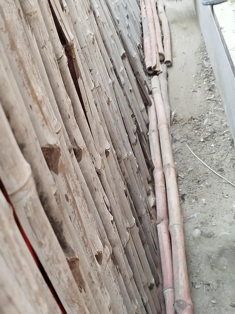 URGENT SALE bamboo shed roof 8x16 feet 2 piece double tarpal — photo 5
