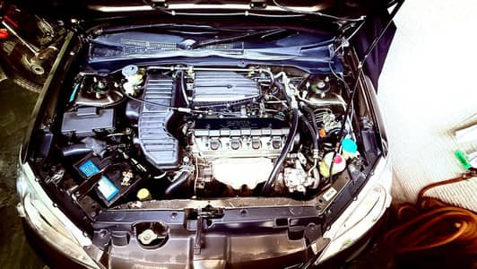 Honda Civic Prosmetic 2005