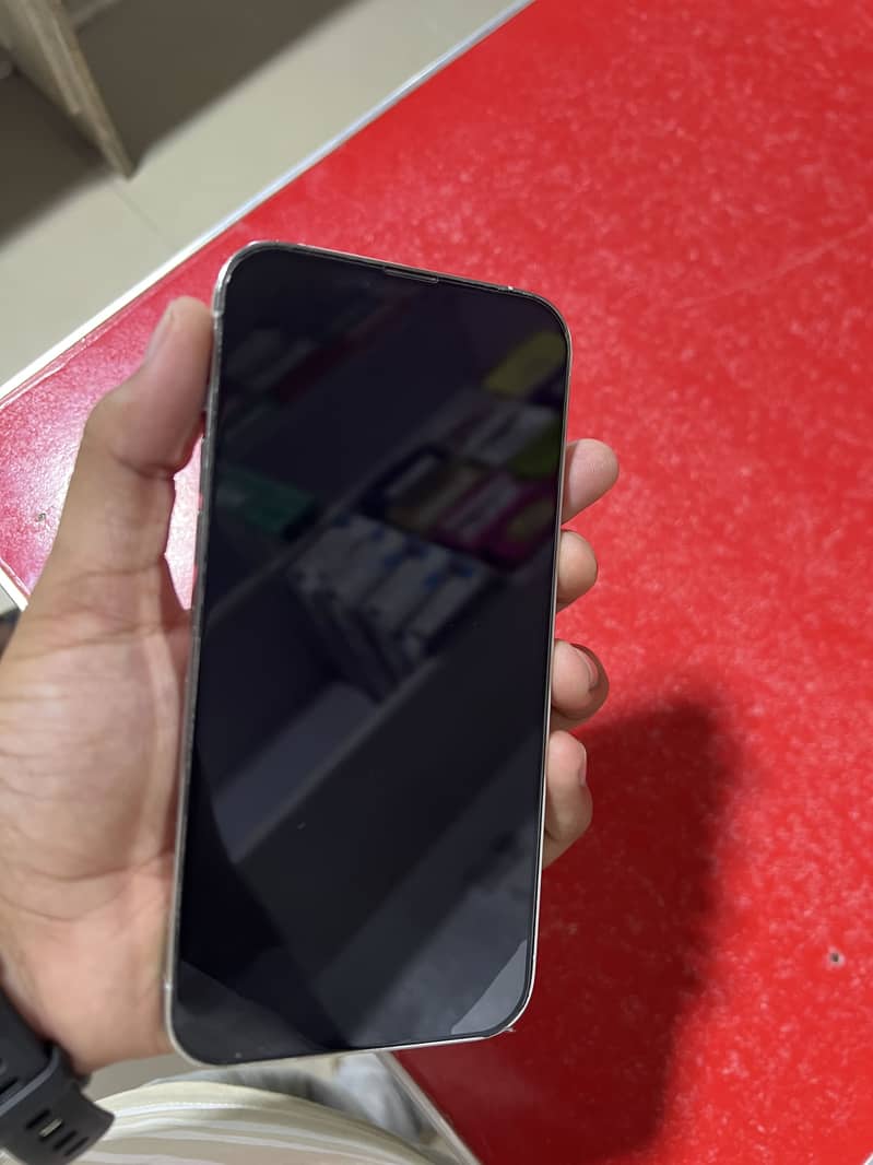 Apple iPhone 13 Pro Max 1