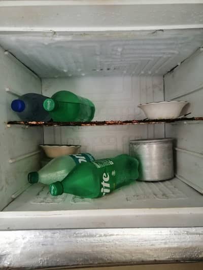 hair refrigerator mediums size