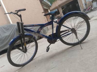 mountain bikes