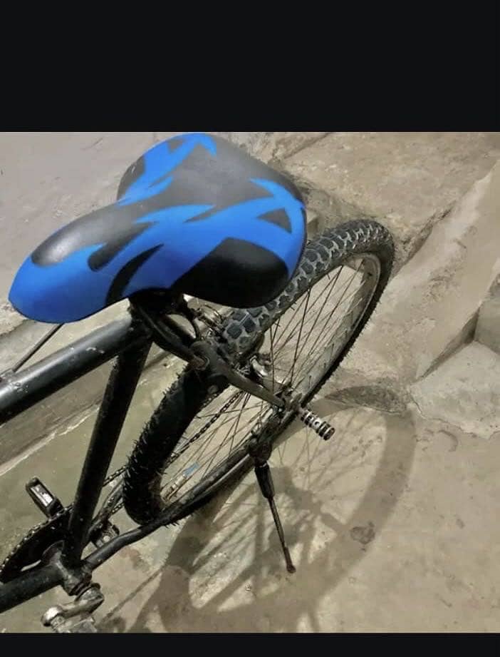 cycle for everyone 1