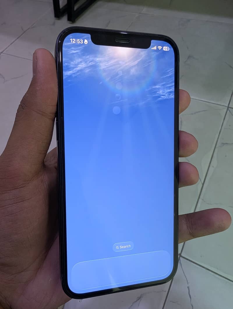 Apple iPhone 12 5
