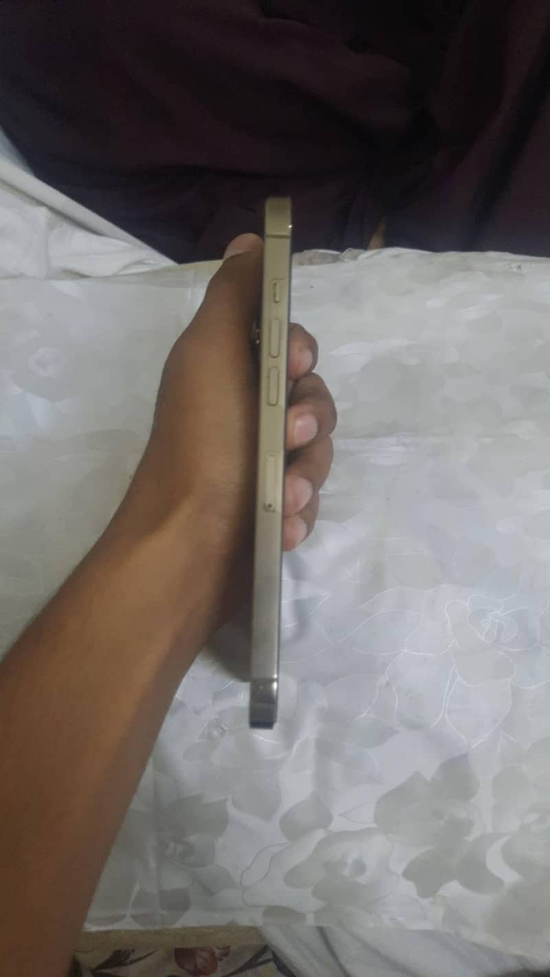 Apple iPhone 12 Pro Max 3