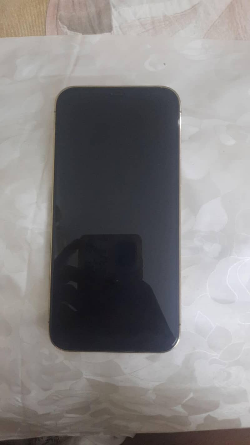 Apple iPhone 12 Pro Max 5