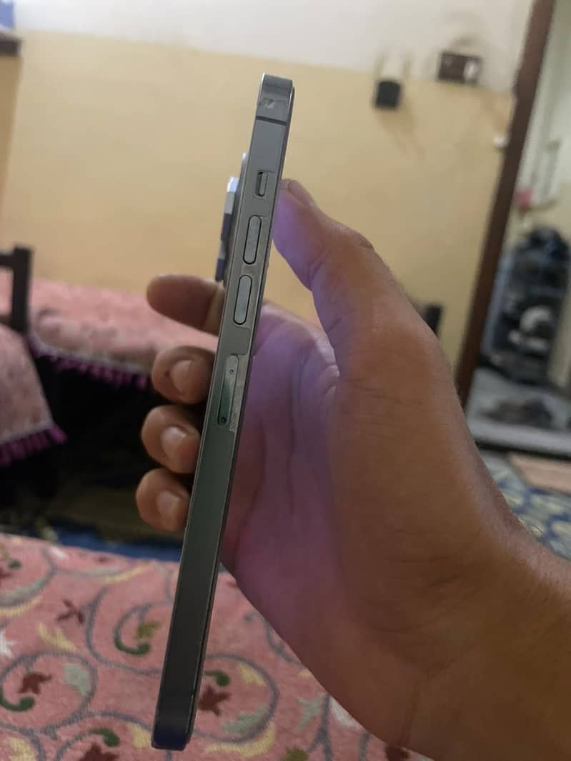 Apple iPhone 13 Pro Max 1