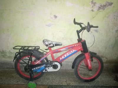 cycle O331 95309391