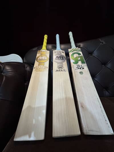 Professional Bat for sale