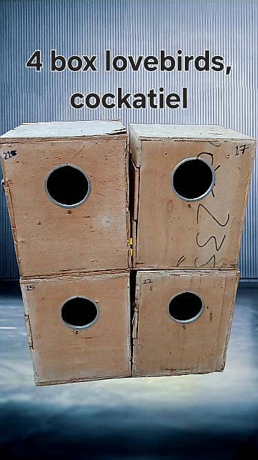 Breeding boxes 1