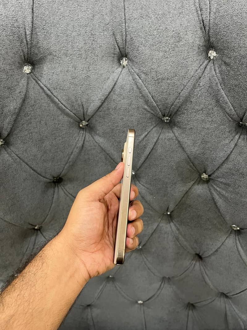 Apple iPhone 16 Pro Max 2