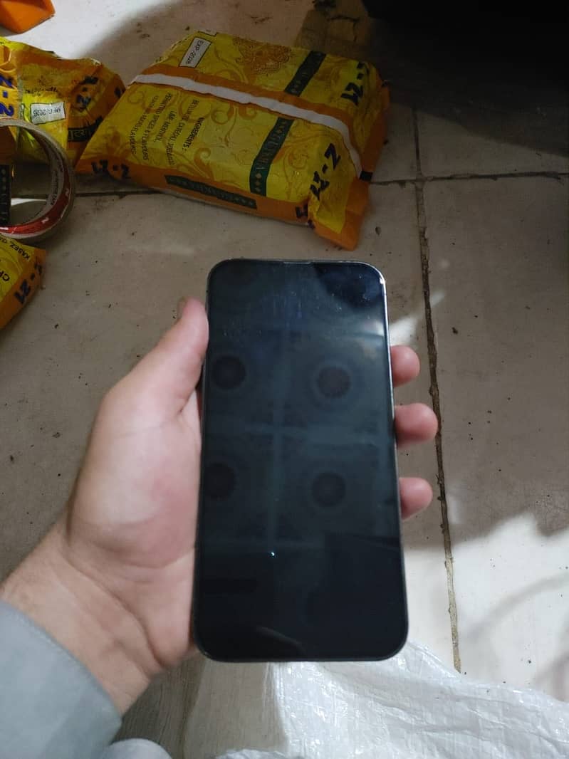 Apple iPhone 13 Pro Max 2