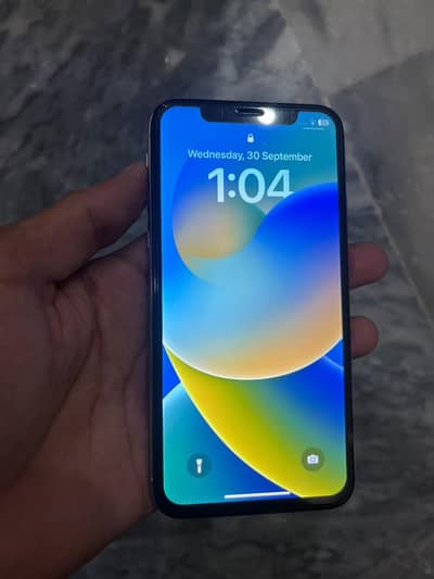 Apple iPhone X