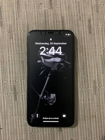 Apple iPhone X
