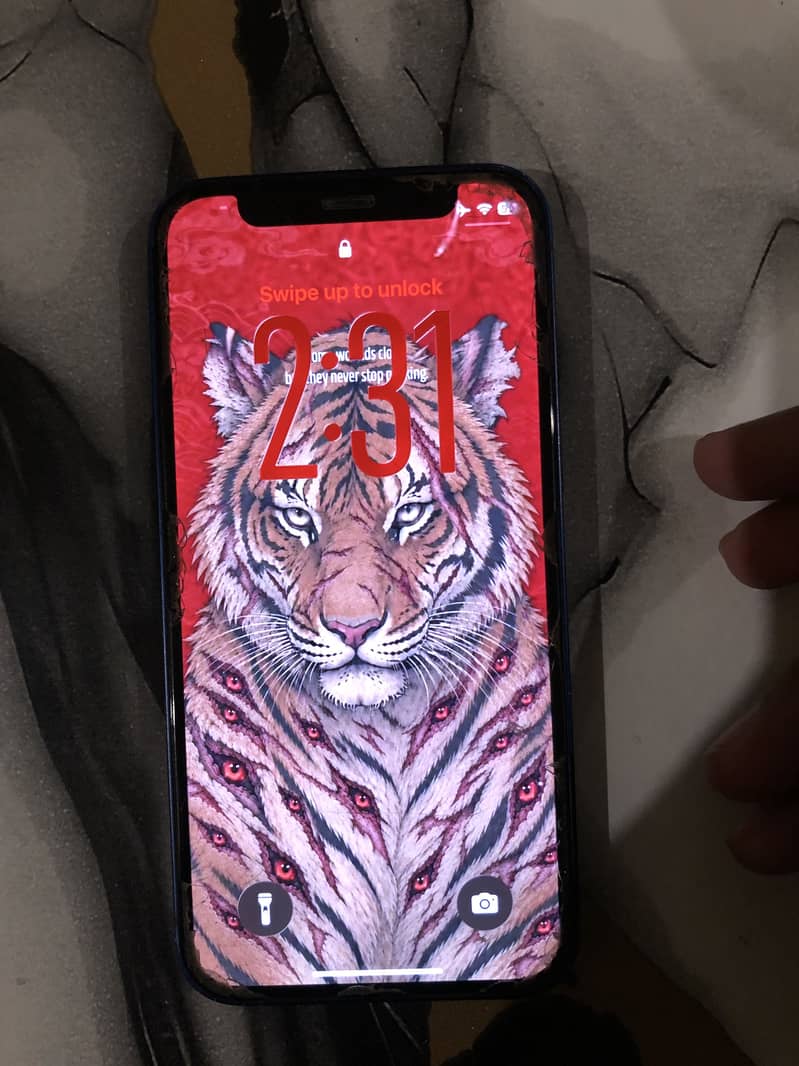 iPhone 12 mini 1